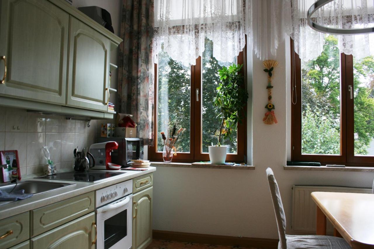 Villa Goeltzschtalblick Netzschkau エクステリア 写真