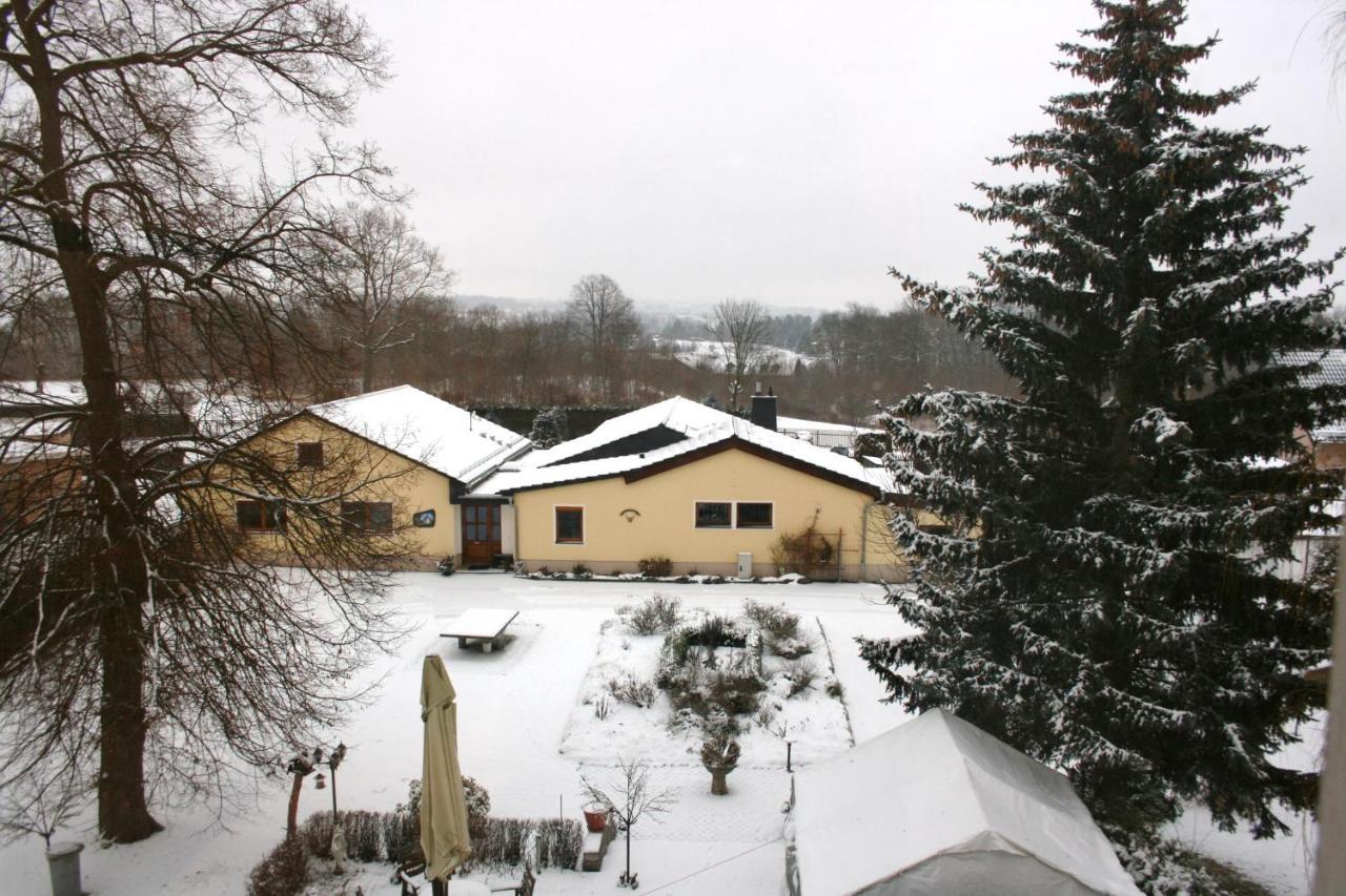 Villa Goeltzschtalblick Netzschkau エクステリア 写真
